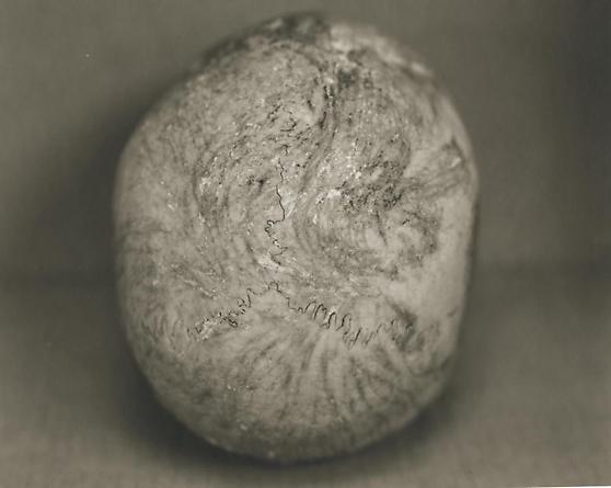 E20: Female, 32 Years Old, 2000