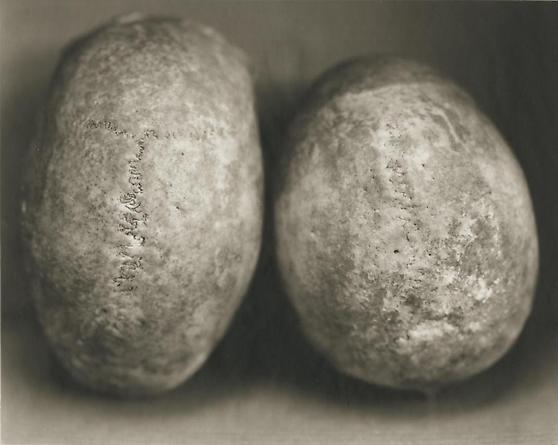 F9: Male, 52 Years Old; E16: Male, 48 Years Old, 2000