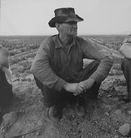 Jobless on the Edge of Peafield, Imperial Valley, California, 1937