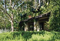 Pizzeria Tra Vigne