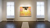 Norman Bluhm
