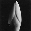 Imogen Cunningham