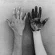 Wendy-Snyder MacNeil
