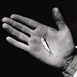 Aaron Siskind