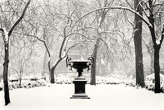 Let it Snow!