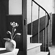 Andre Kertesz