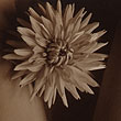 Kurt Baasch