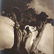 Anne Brigman