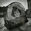 Arthur Tress