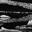 Brett Weston