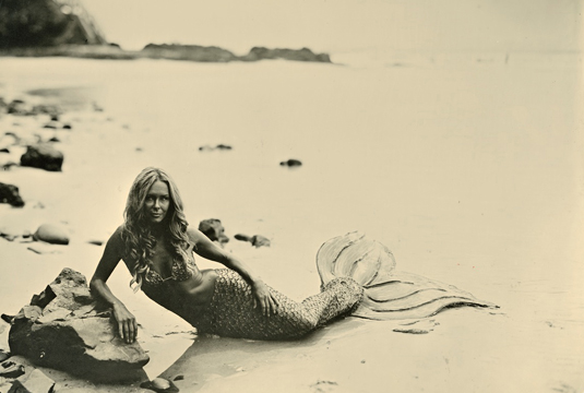 Sea Creatures