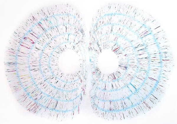 Untitled, 2009
Colored pencil on paper
49 x 51 inches