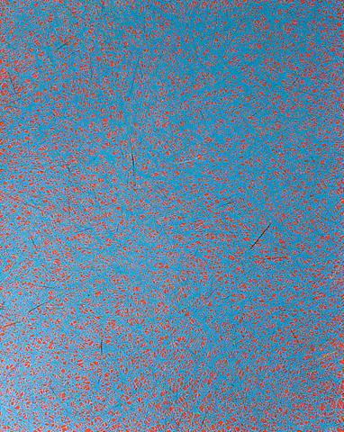 Untitled, 2009
Colored pencil on paper
50 x 40 inches
