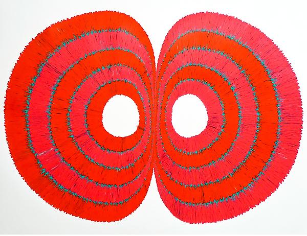 Untitled, 2009
Colored pencil on paper
49 x 51 inches