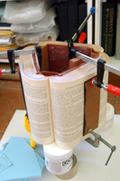 Brian Dettmer: Altered Books - 