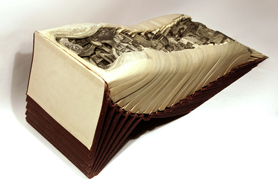Brian Dettmer: Altered Books - Standard American
