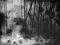 Jennifer Coates - Untitled (6)