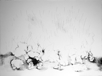 Jennifer Coates - Untitled (3)