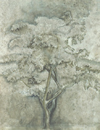 OnLine - Tree