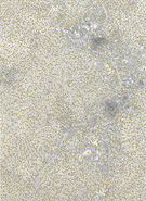 OnLine - Flux Inhibitor