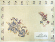 OnLine - Body Map