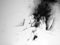 Jennifer Coates - Untitled (5)