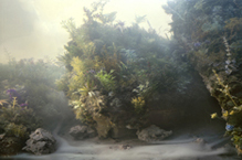 Kim Keever - Wildflowers