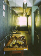 Doug Hall - Bird Storage, Academy of Science, San Francisco
