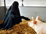 Blessed are the Merciful - No Pork but Pig