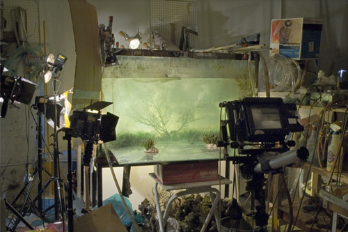 Kim Keever detail image