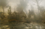 Kim Keever - Palm 33