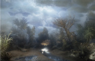 Kim Keever - Palm 41