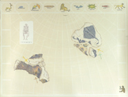 OnLine - Body Map