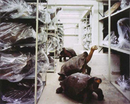 Doug Hall - Galapagos Tortoise Storage