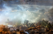 Kim Keever - Fallen Tree