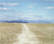 Doug Hall - Highway 447, Near Gerlach, Nevada (Looking East)