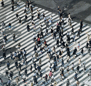 Doug Hall - Crosswalk, Shinjuku (Elevated View)
