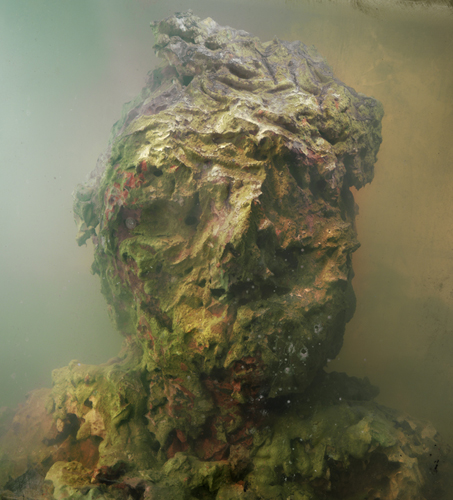 Kim Keever detail image