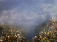 Kim Keever - Wildflowers 50k