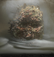 Kim Keever - Shell Man 27