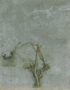 OnLine - Tree
