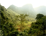 Doug Hall - Valley of the Mountain of the Fragrant Traces, Vietnam