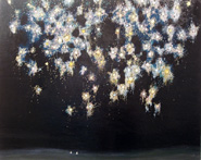 elsewhere - Starshower