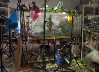 Kim Keever - 