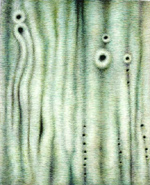 OnLine - Untitled