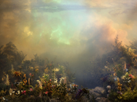 Kim Keever - Wildflowers 52i