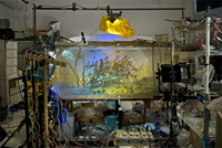 Kim Keever - 