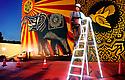 Shepard Fairey
