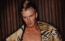 David Beckham