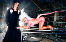 ALIEN OBJECTIFICATION